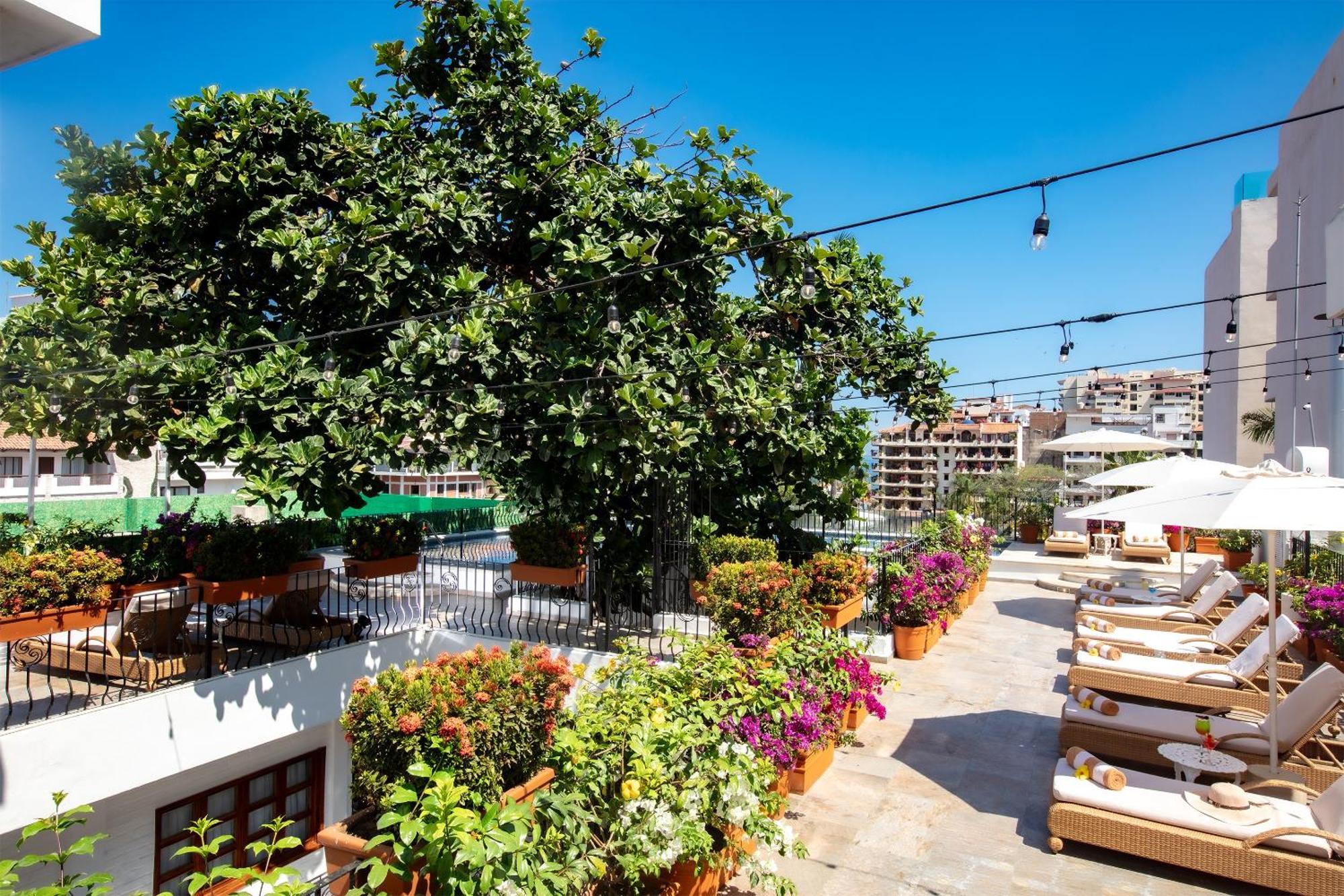 Casa Doña Susana Puerto Vallarta Exterior foto